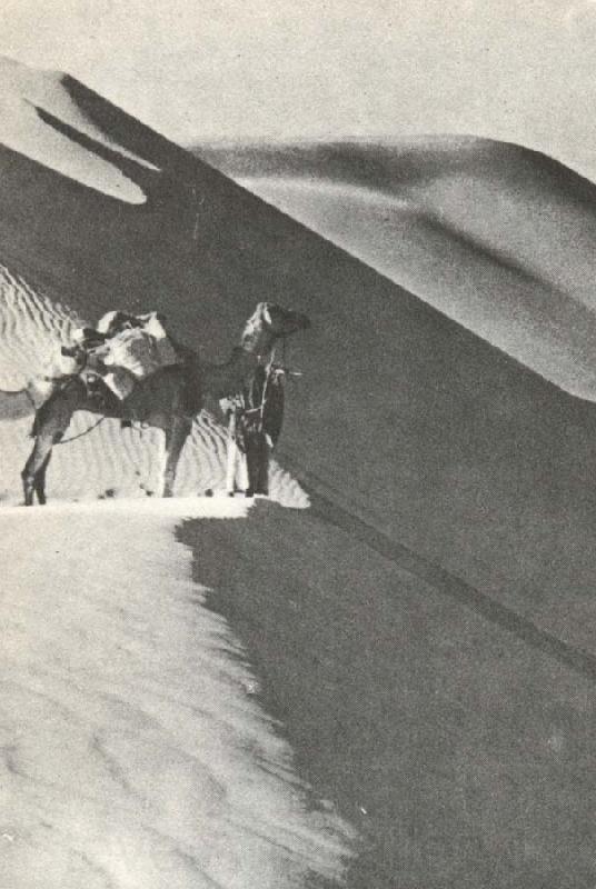 william r clark wilfred thesigers expedition rastar pa toppen av en sanddyn under ritten genom det tomma landet Spain oil painting art